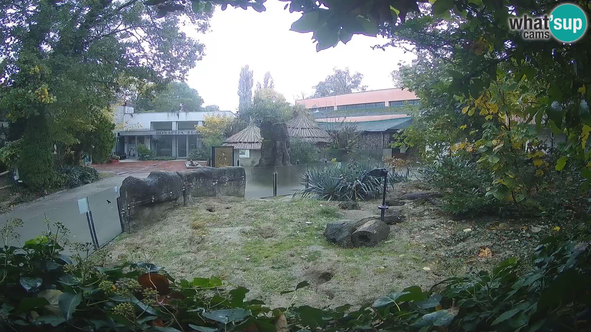 Zoo Zagreb – Merkat