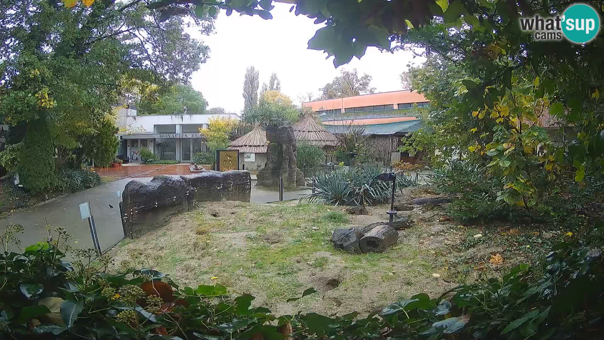 Zoo Zagreb – Merkat