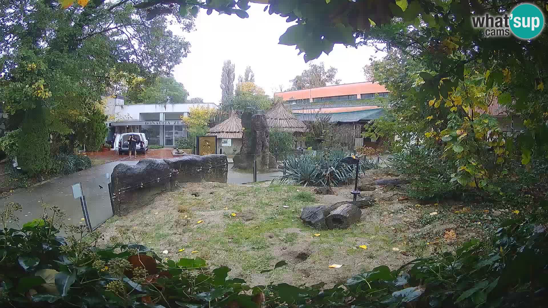 Zoo Zagreb – Merkat