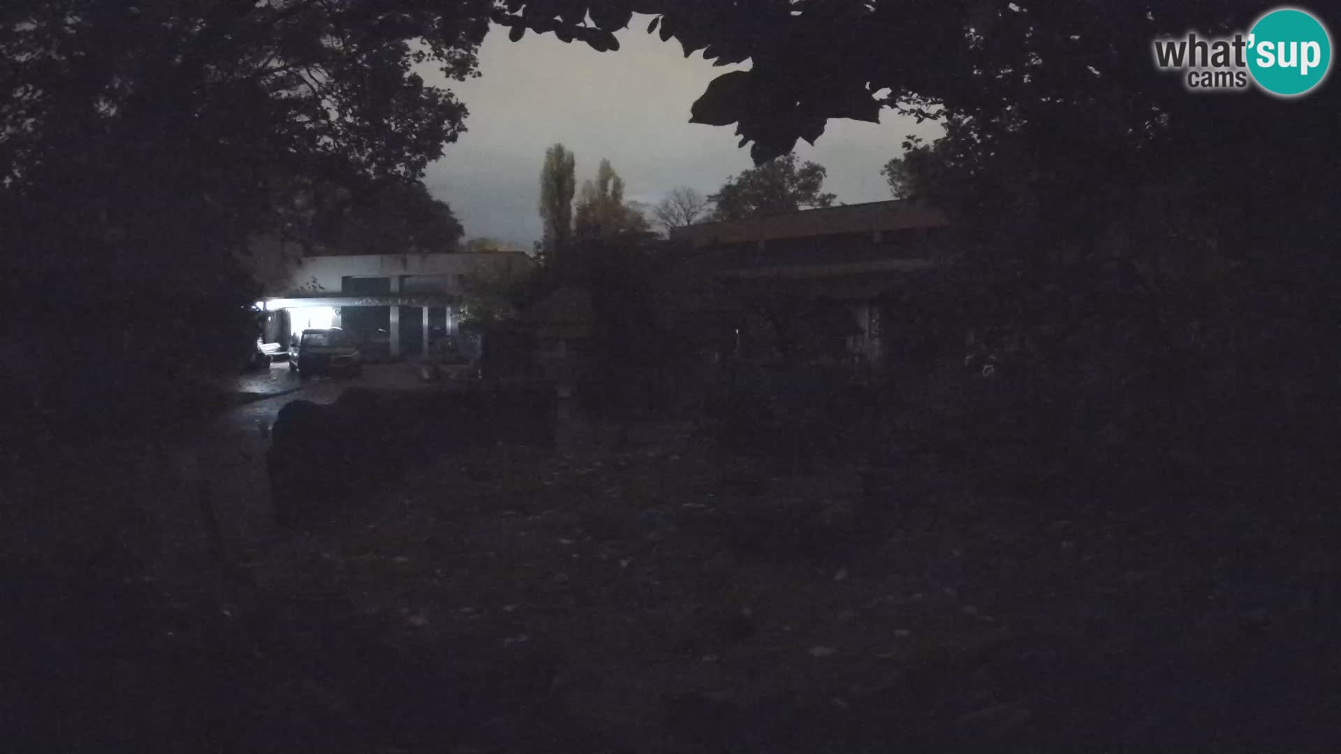 Zoo Zagreb – Surikate