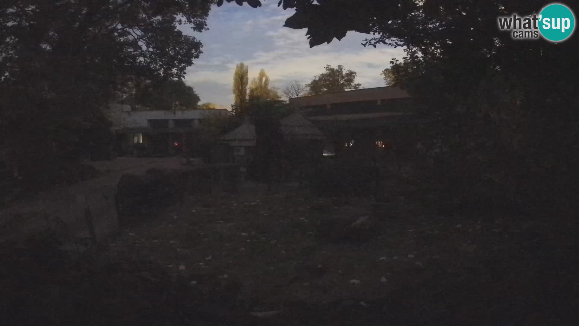 Zoo Zagreb – Surikate