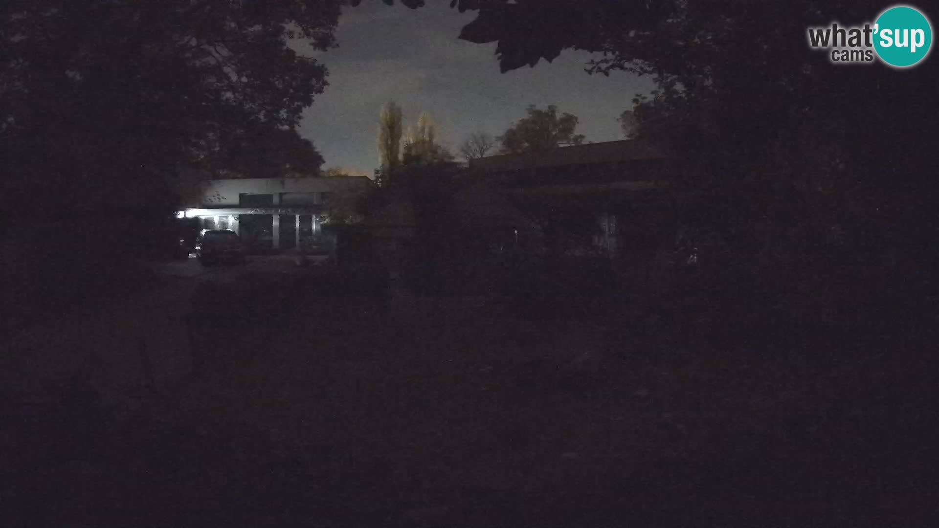 Zoo Zagreb – Merkat