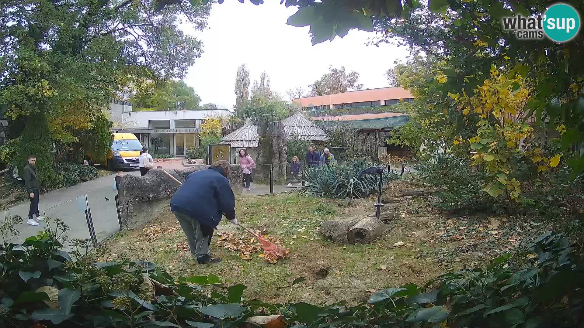 Zoo Zagreb – Merkat