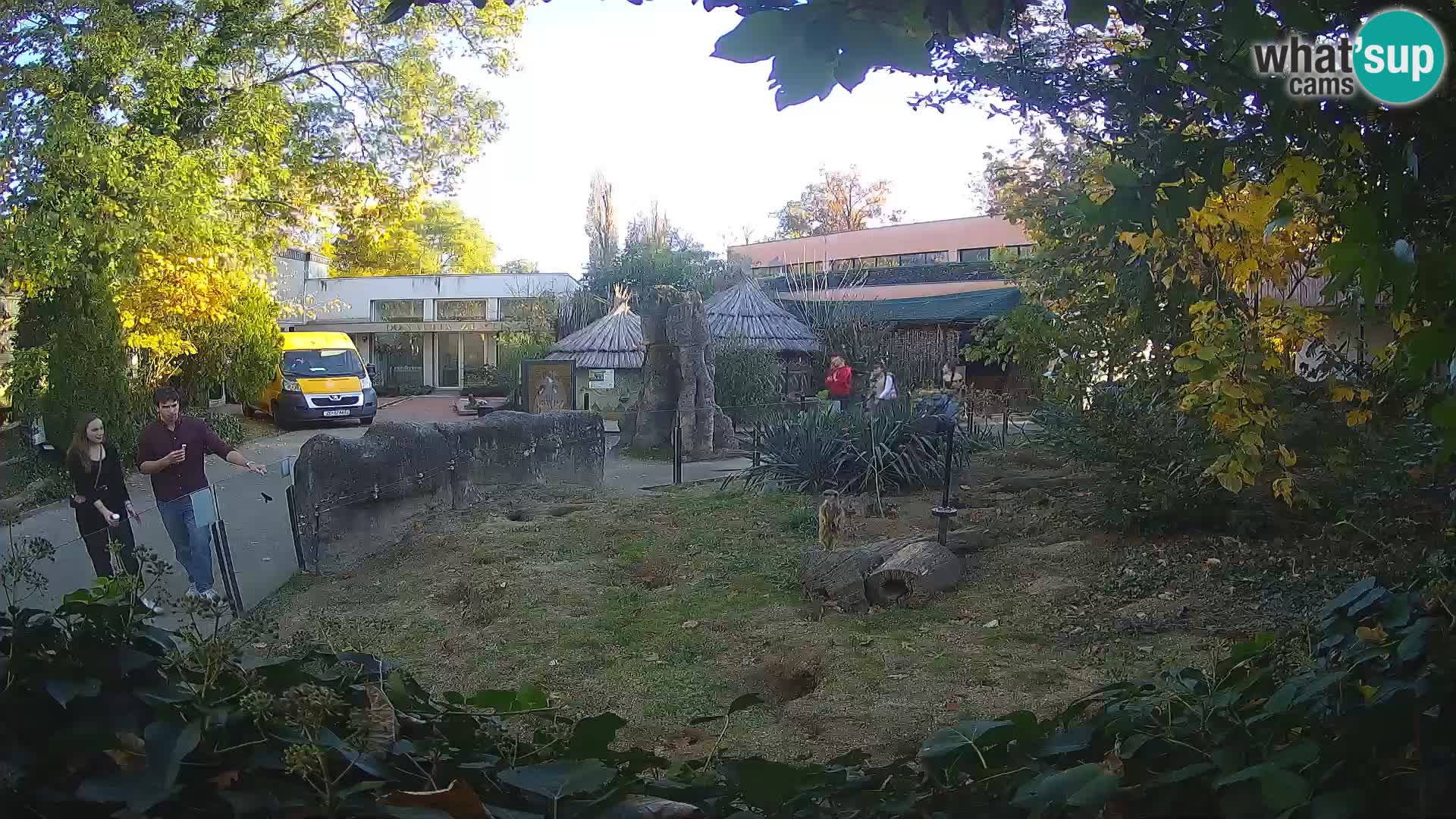 Zoo Zagreb – Merkat