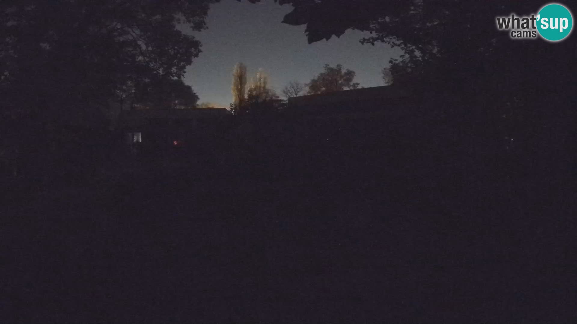 Zoo Zagreb – Merkat