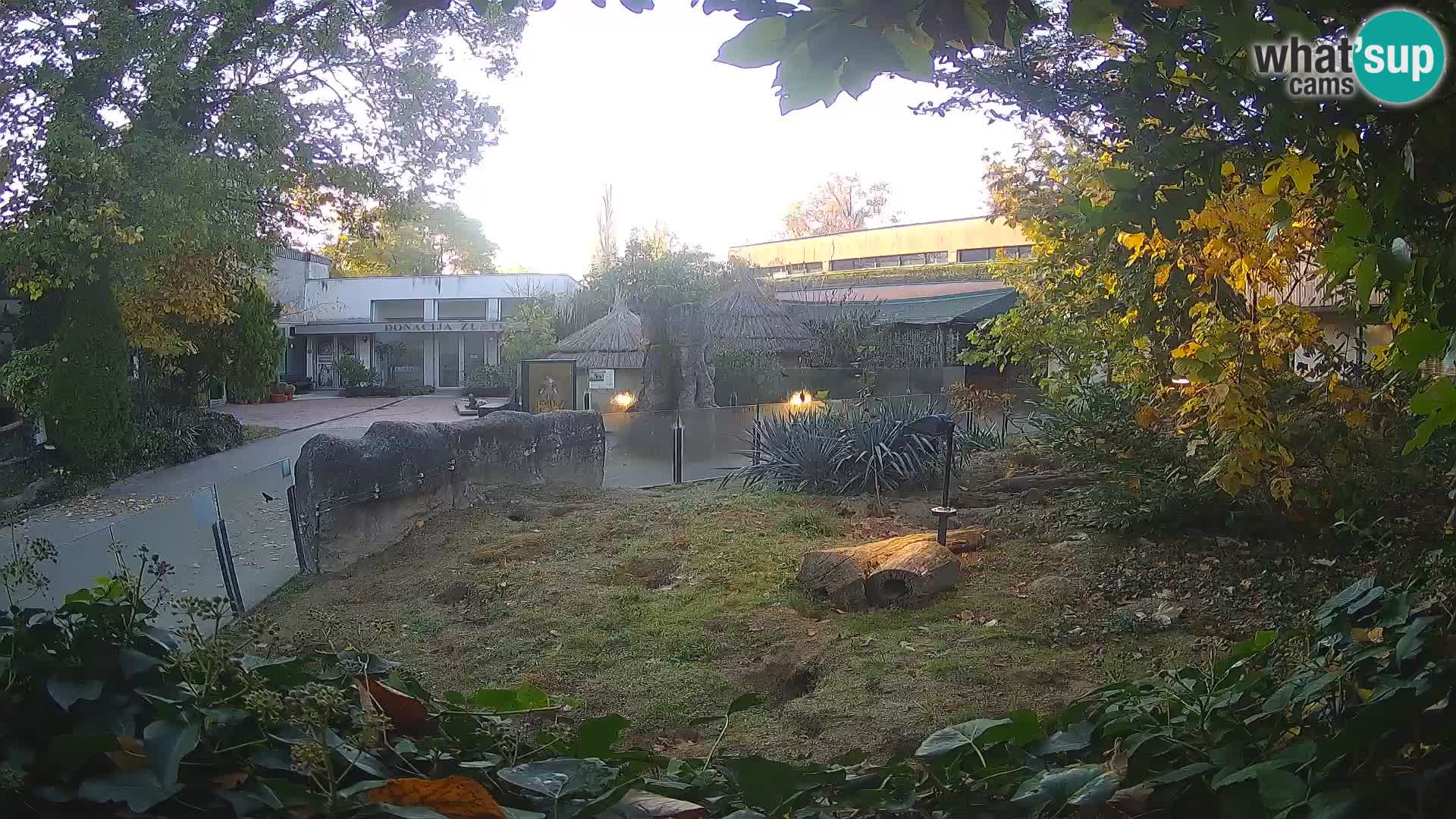 Zoo Zagreb – Merkat