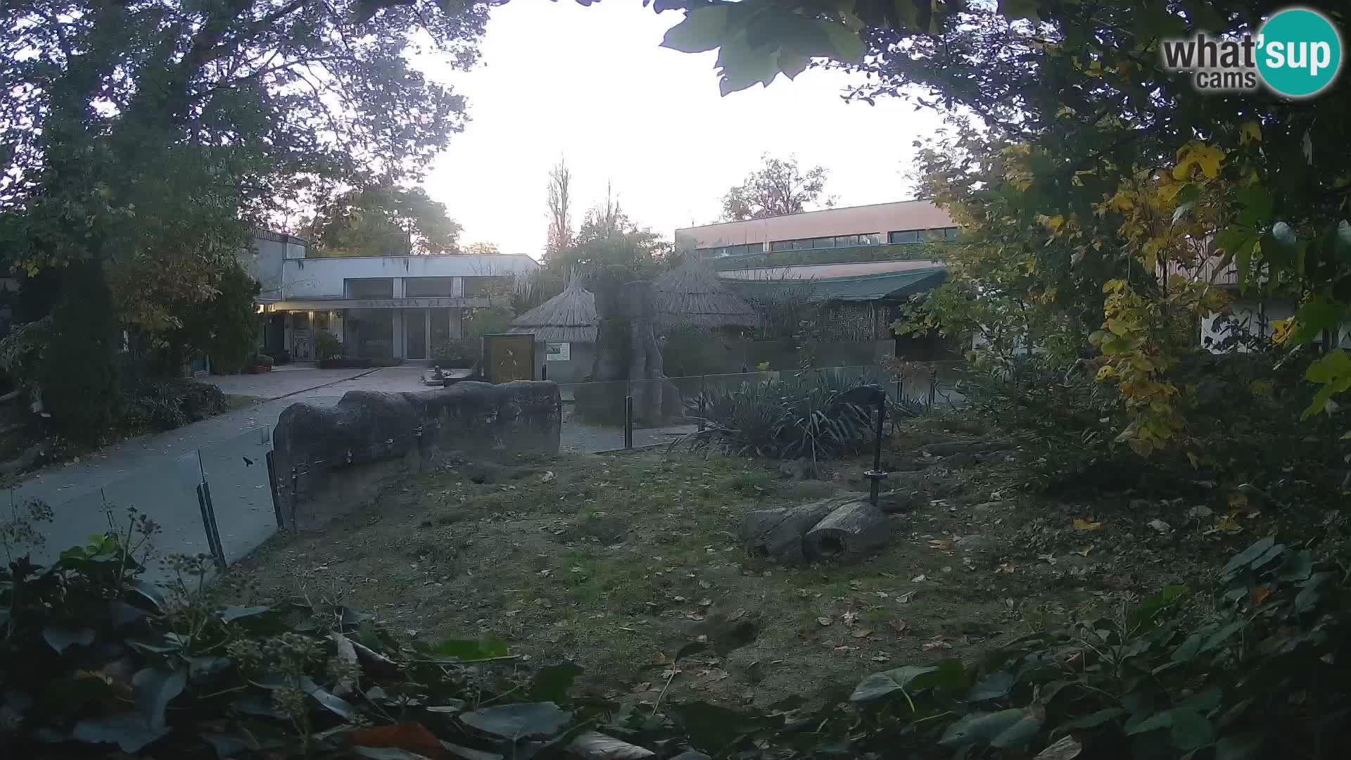 Zoo Zagreb – Erdmännchen