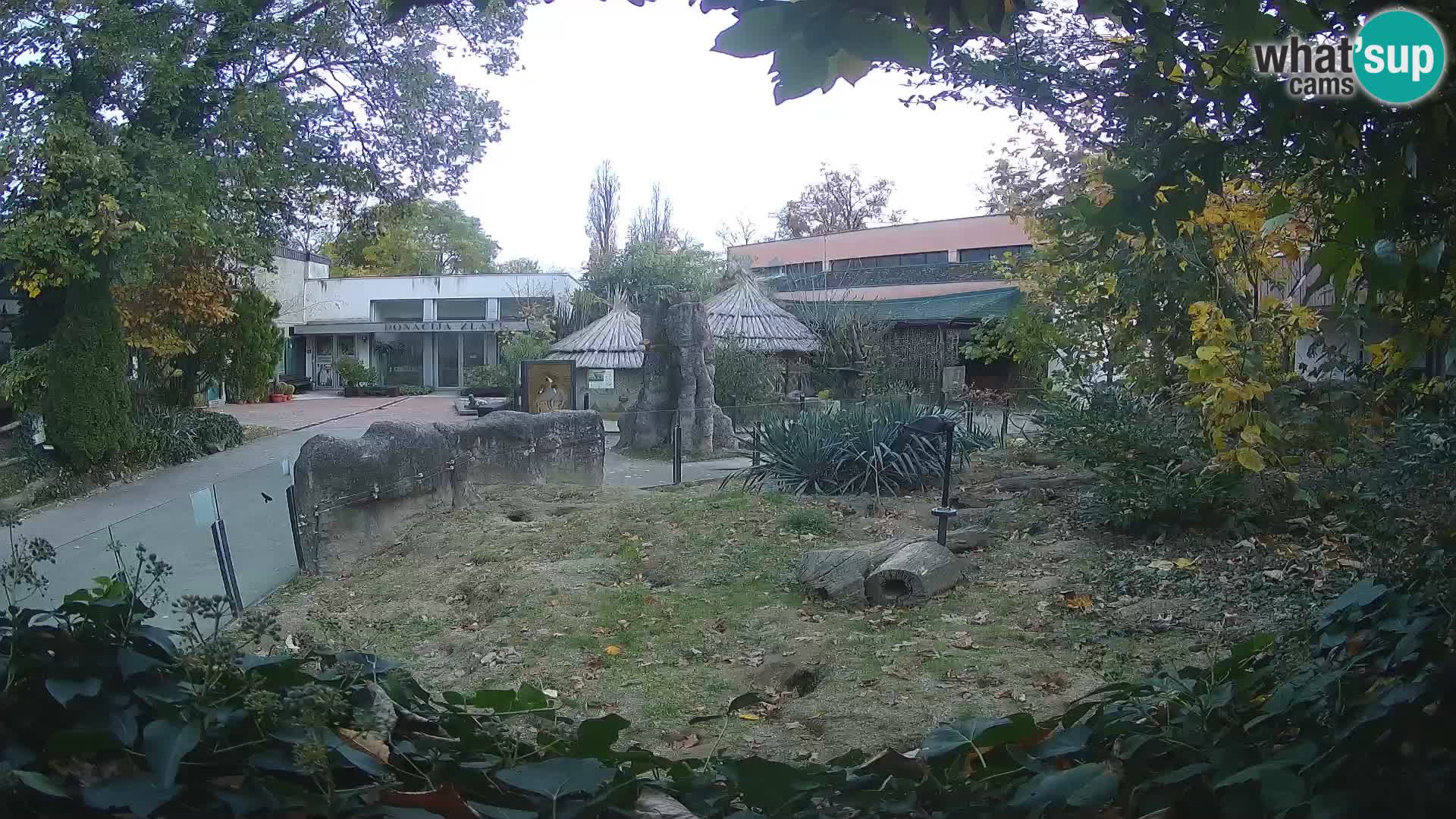 Zoo Zagreb – Erdmännchen