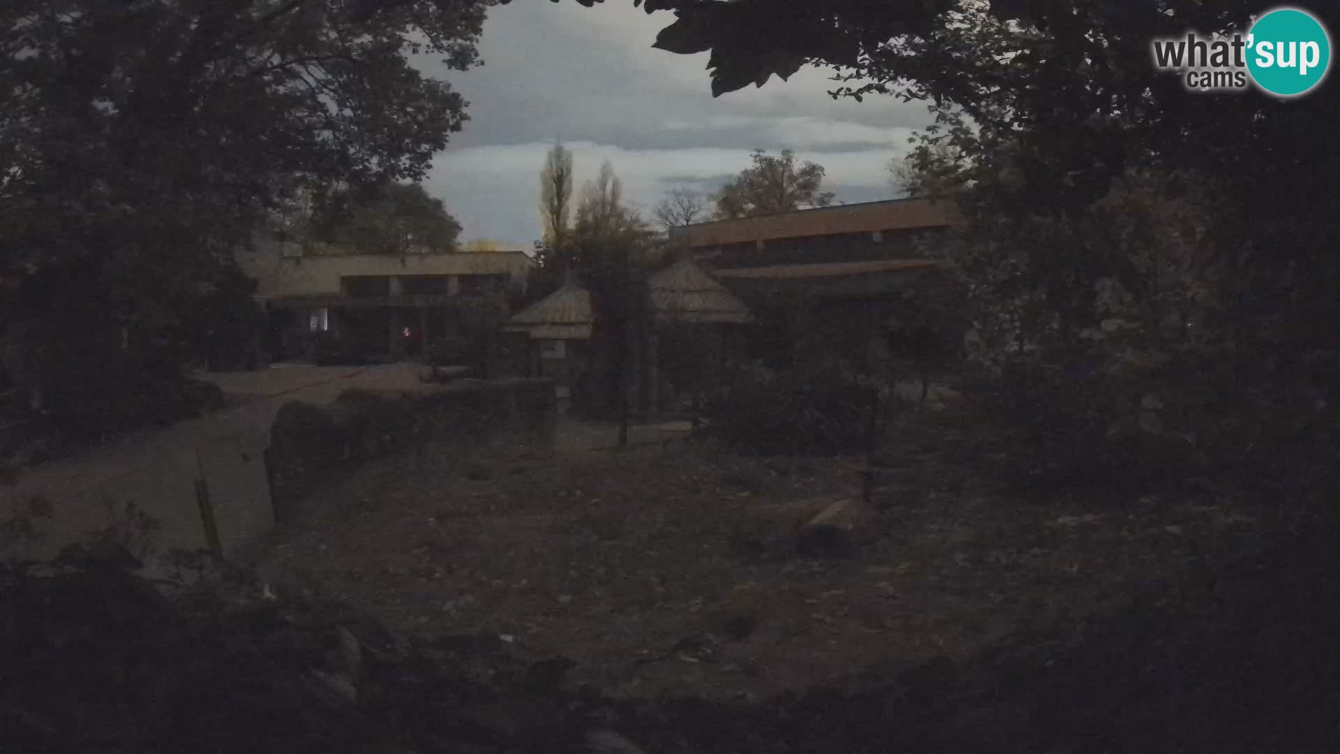 Zoo Zagreb – Erdmännchen