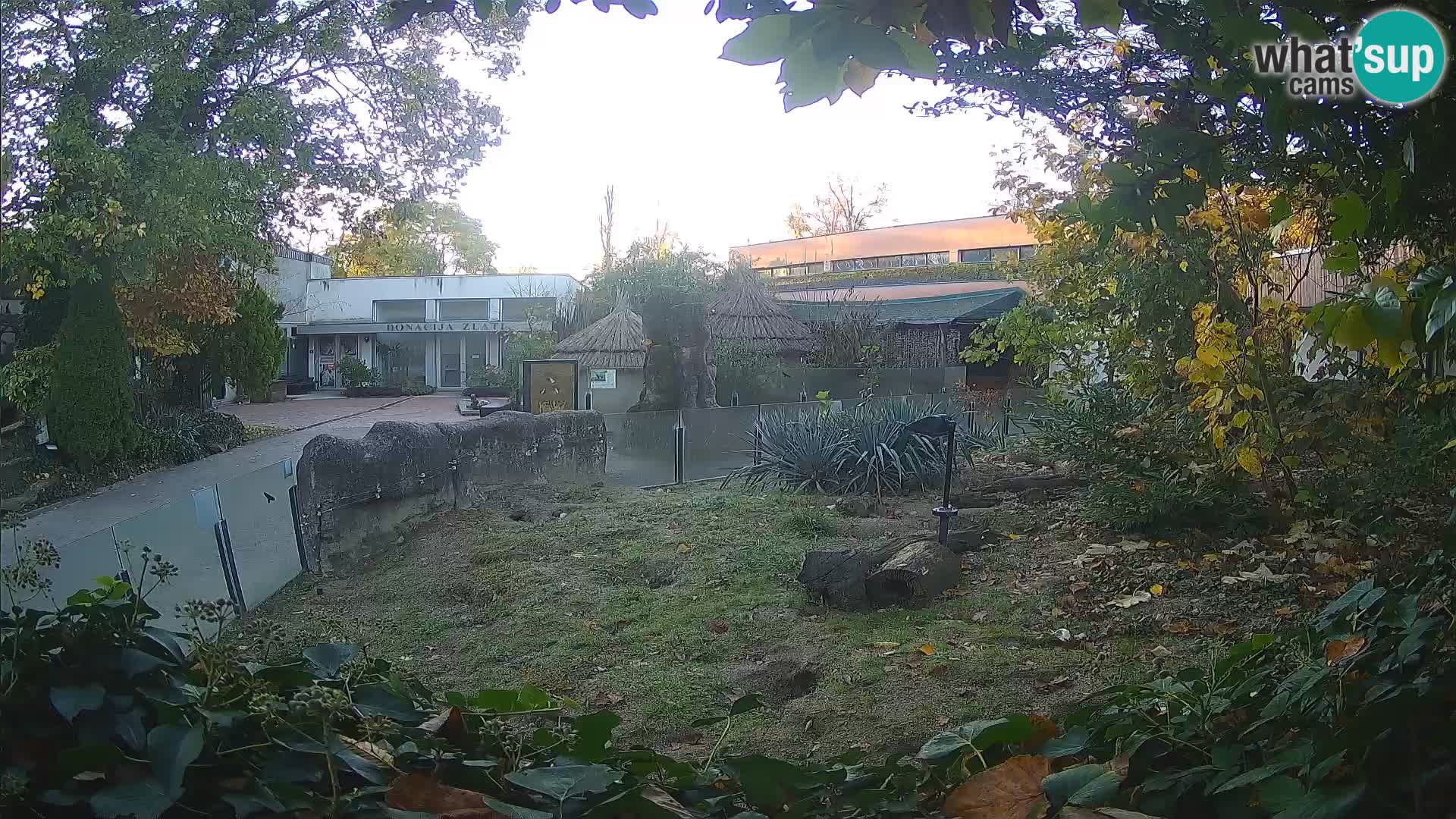 Zoo Zagreb – Merkat