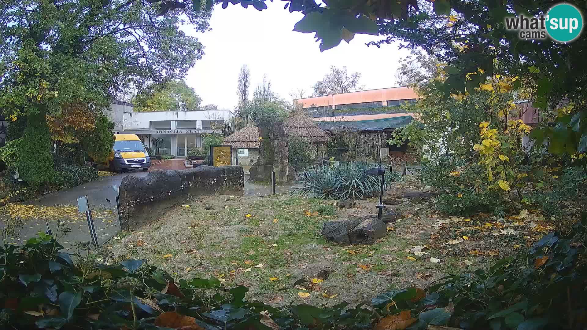 Zoo Zagreb – Suricate