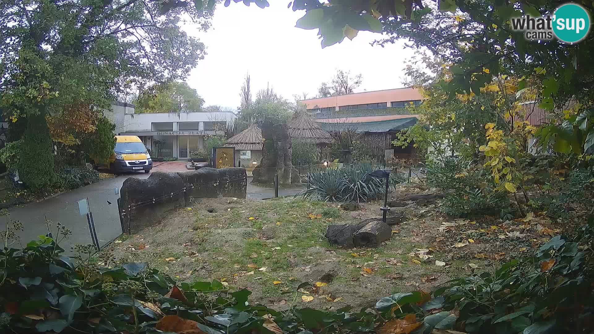 Zoo Zagreb – Merkat