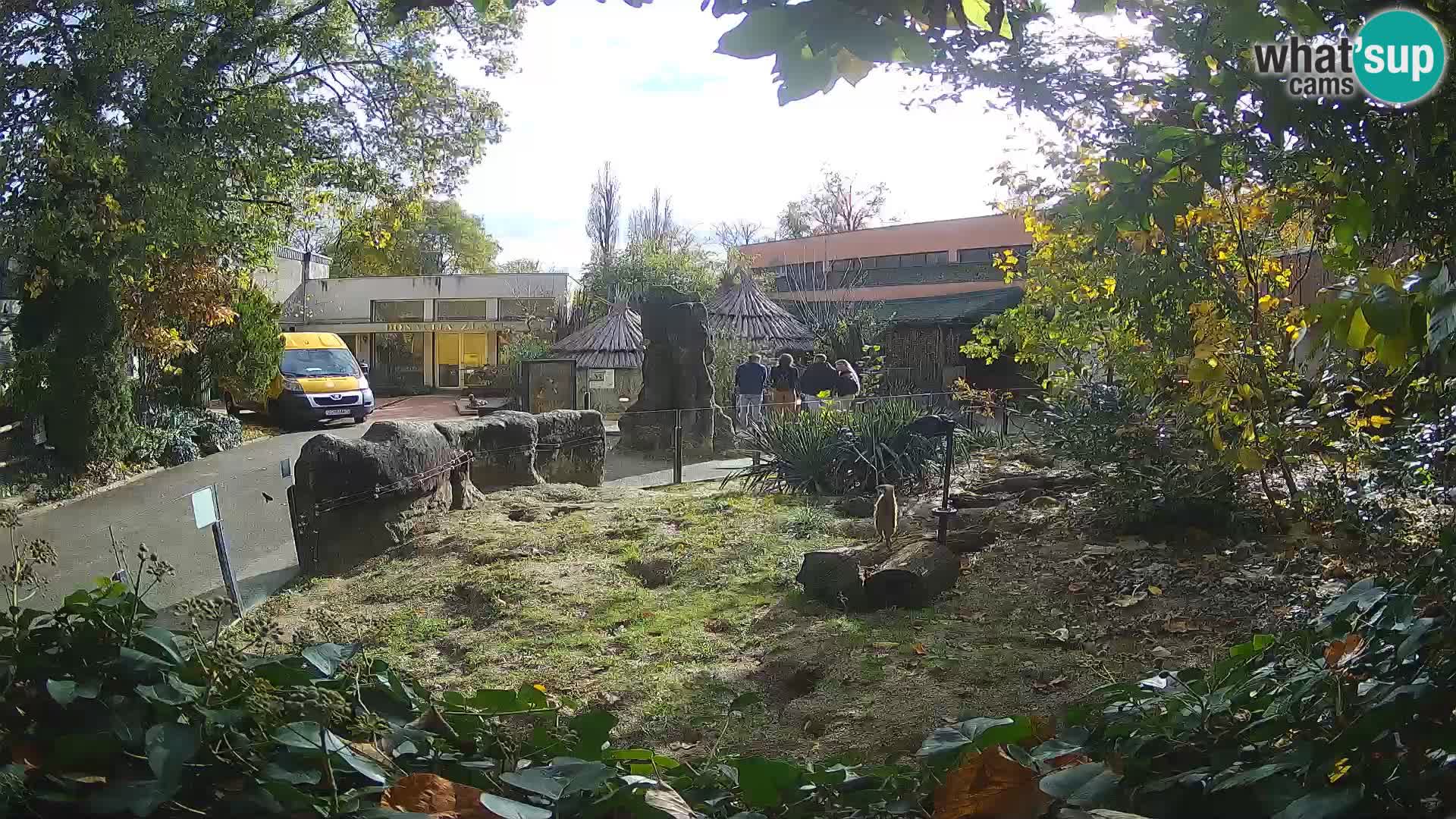 Zoo Zagreb – Erdmännchen