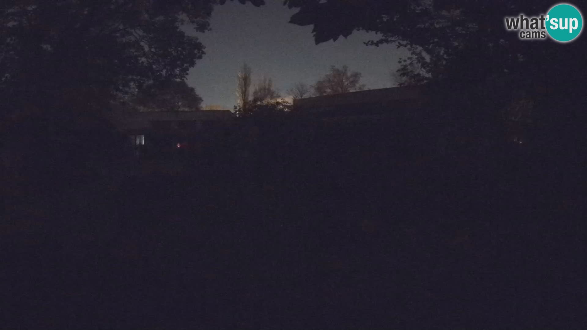 Zoo Zagreb – Erdmännchen