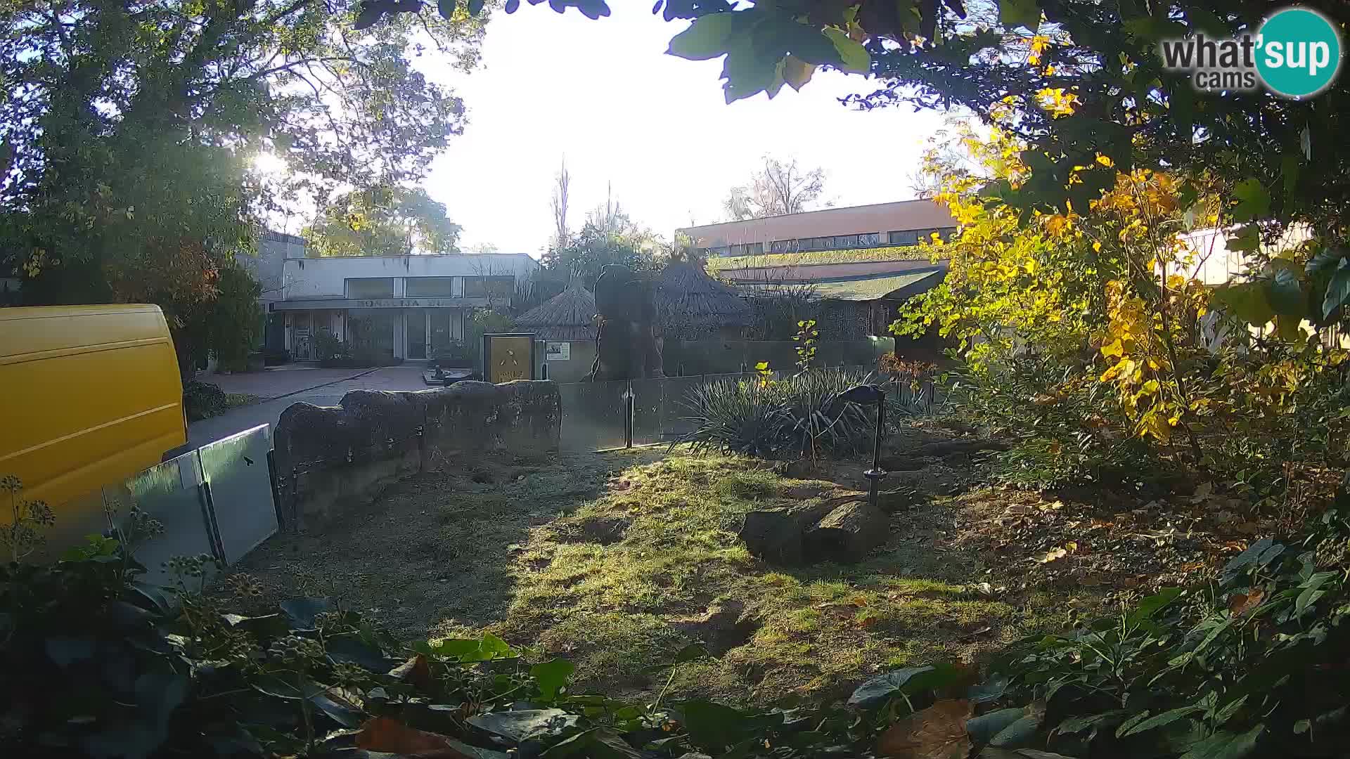 Zoo Zagreb – Erdmännchen