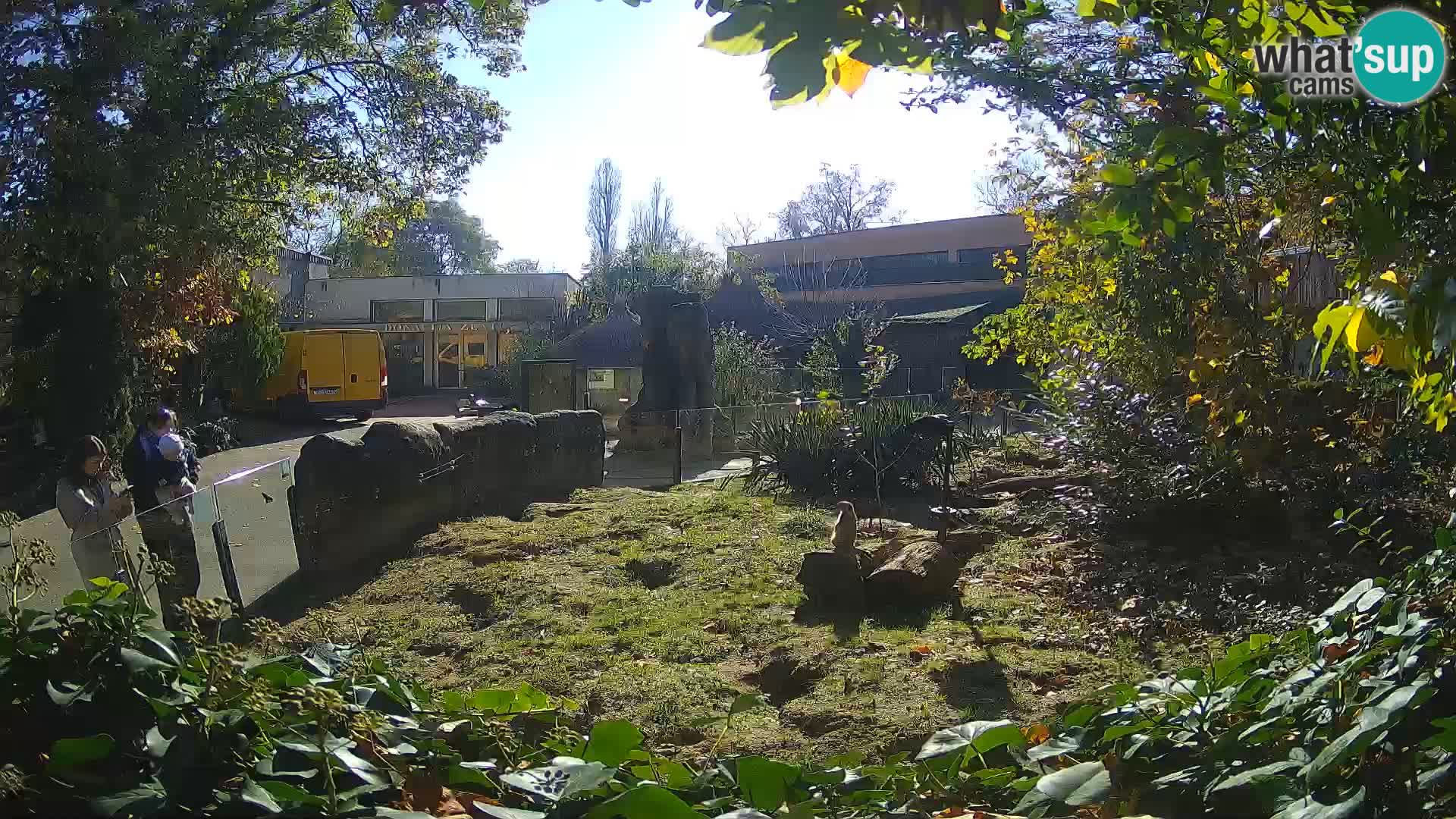 Zoo Zagreb – Merkat