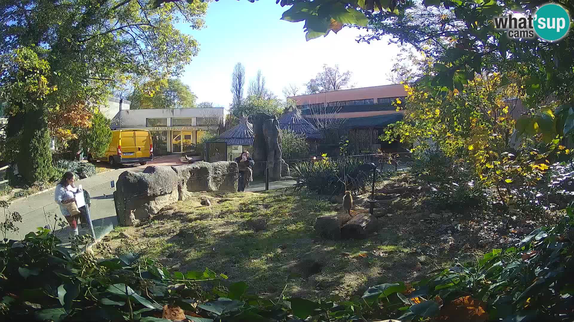 Zoo Zagreb – Merkat