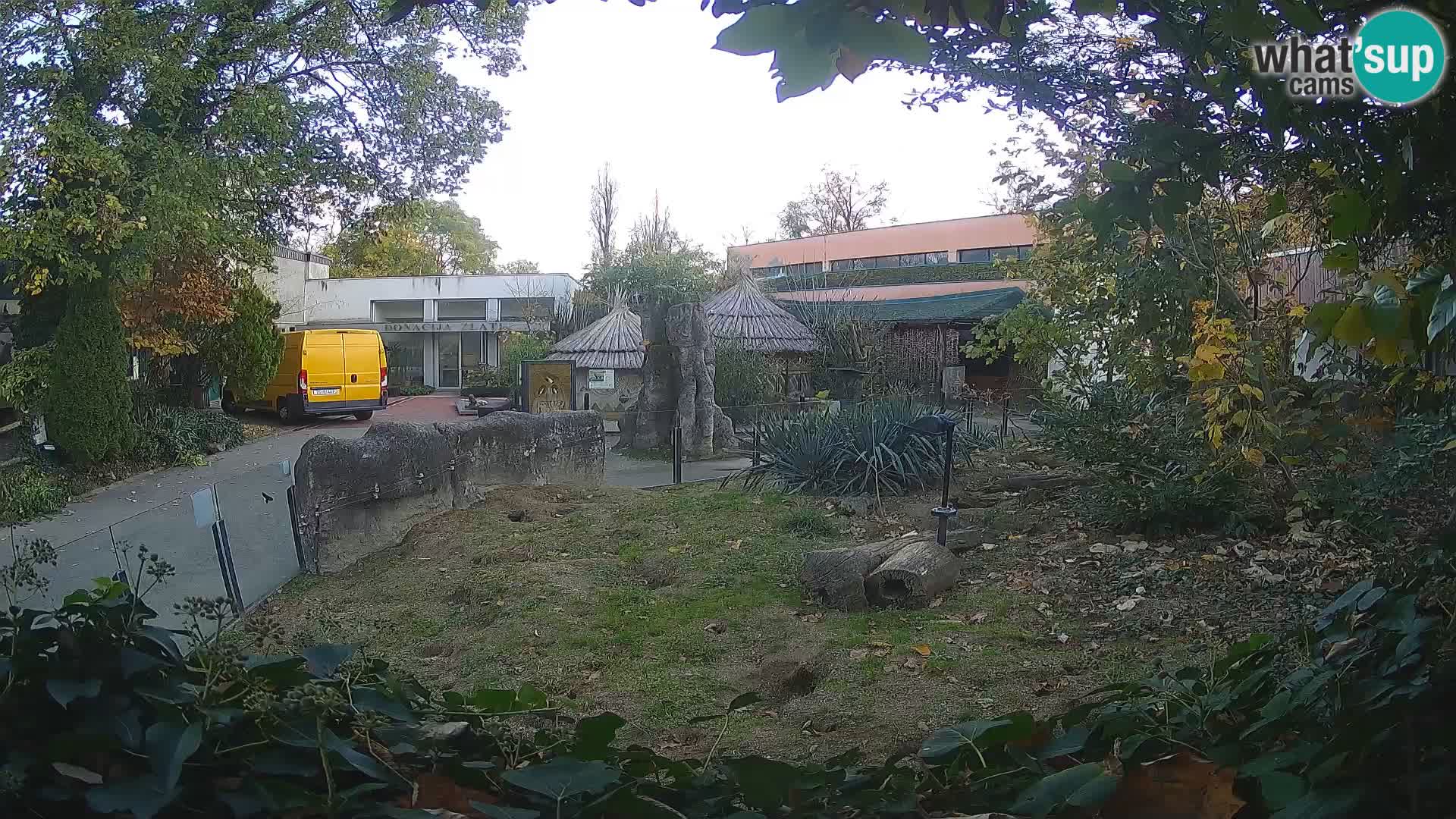 Zoo Zagreb – Surikate