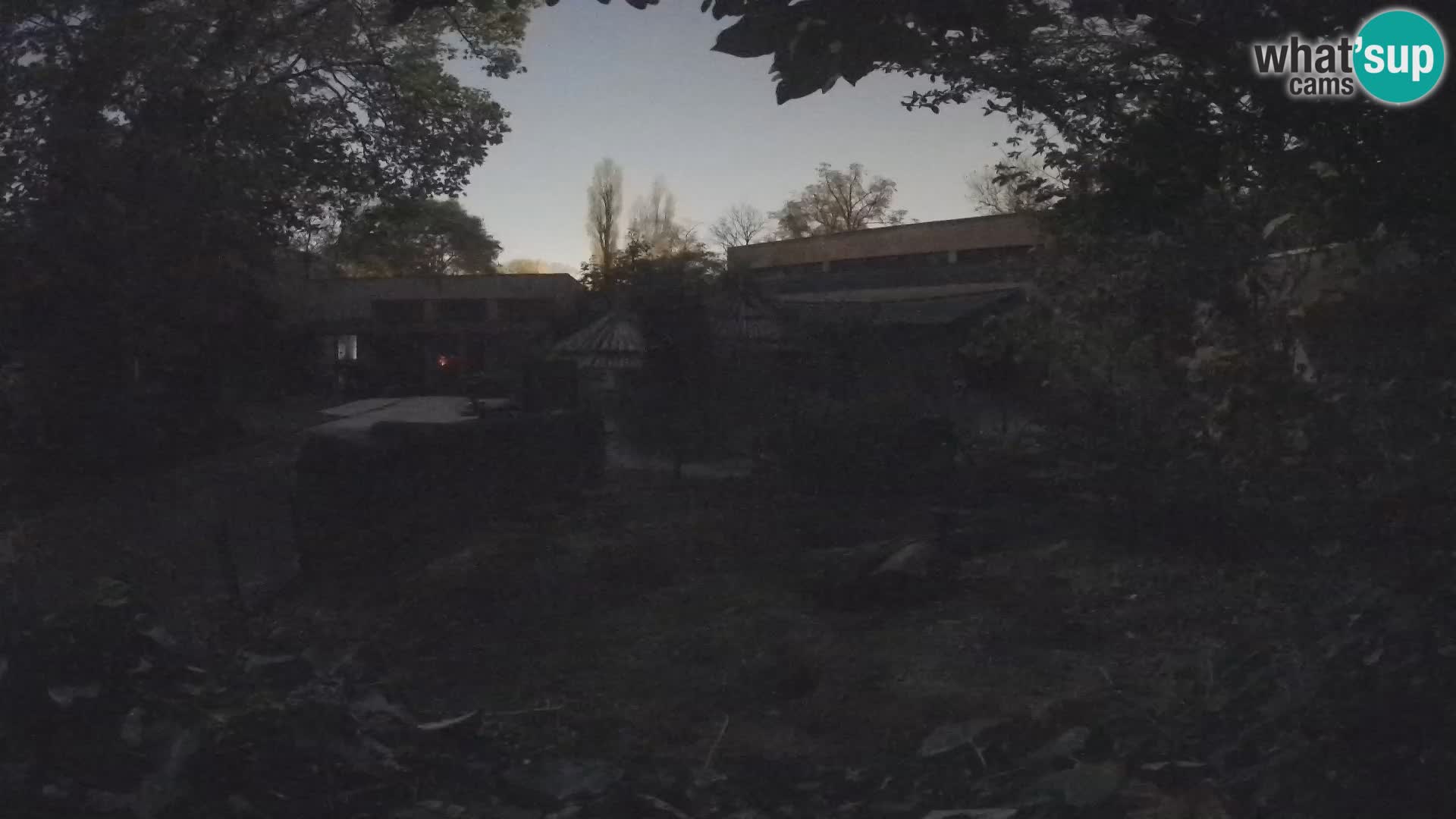 Zoo Zagreb – Surikate