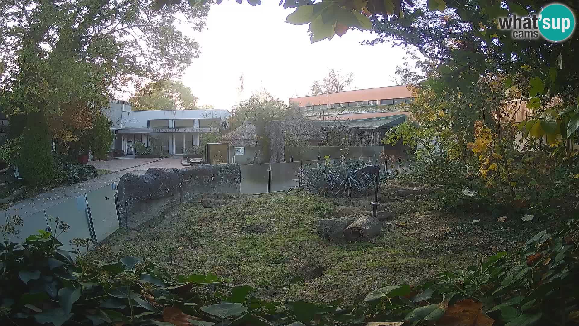 Zoo Zagreb – Merkat