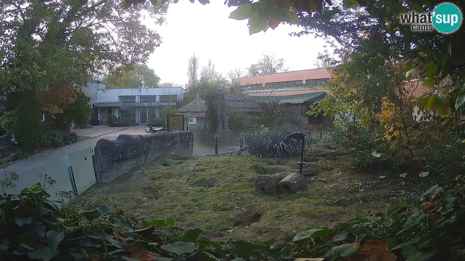 Zoo Zagreb – Merkat