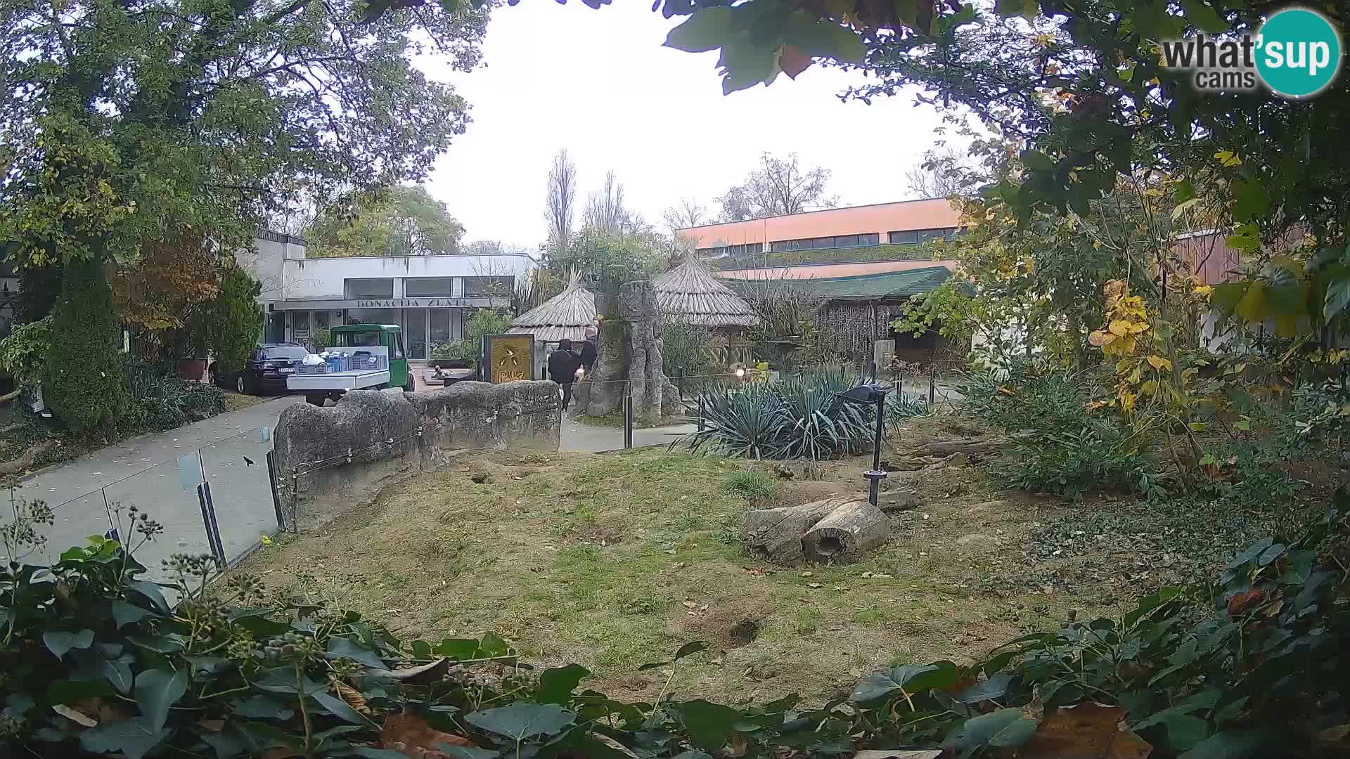 Zoo Zagreb – Surikate