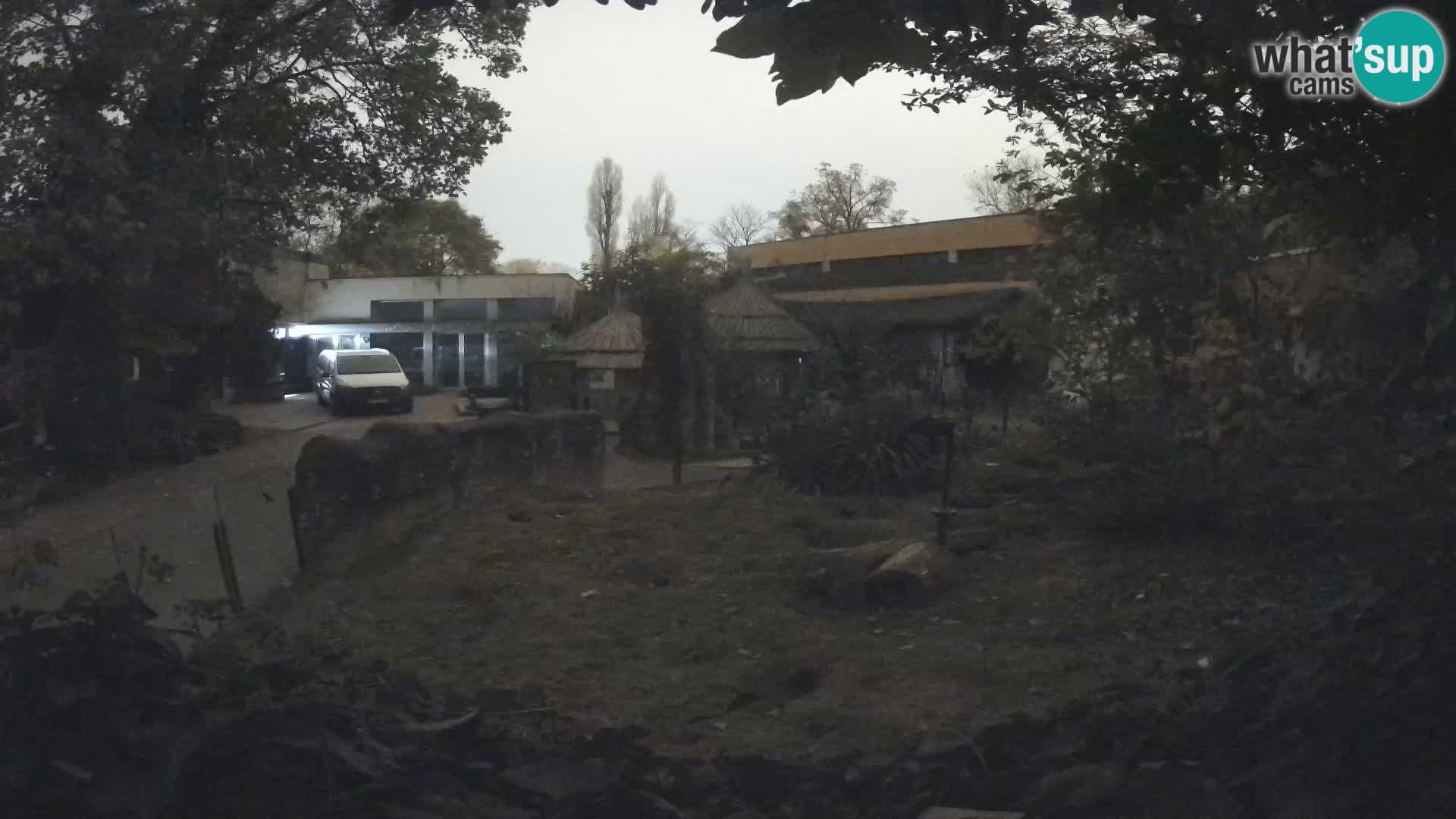 Zoo Zagreb – Erdmännchen