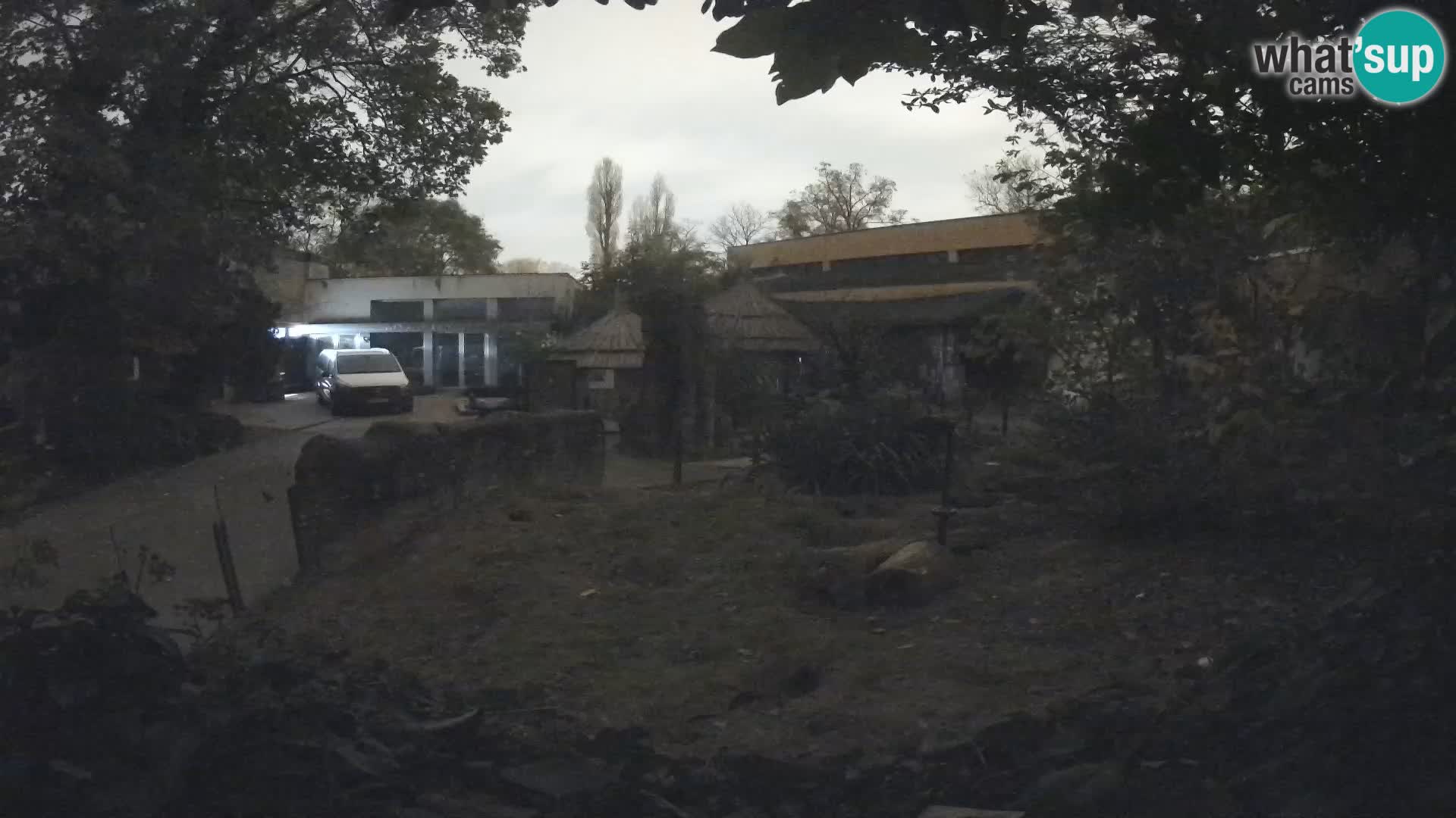 Zoo Zagreb – Surikate