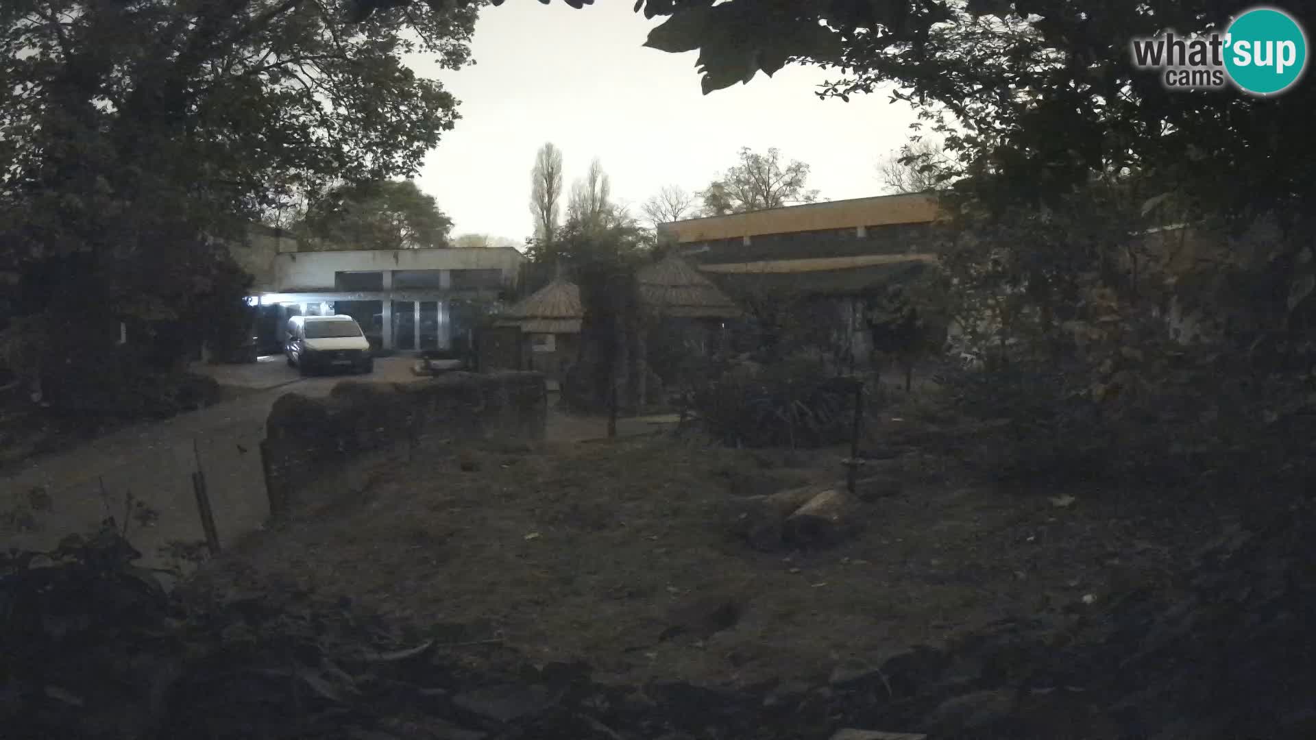 Zoo Zagreb – Erdmännchen