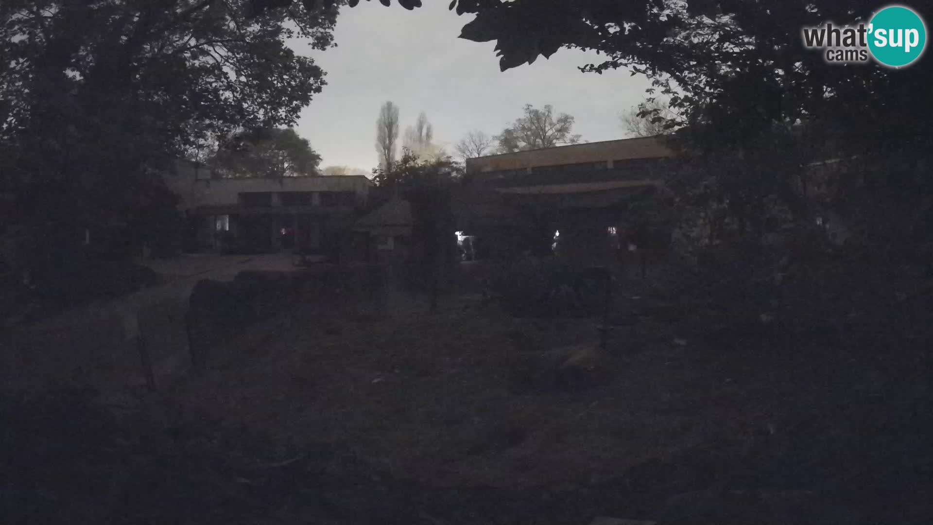 Zoo Zagreb – Erdmännchen