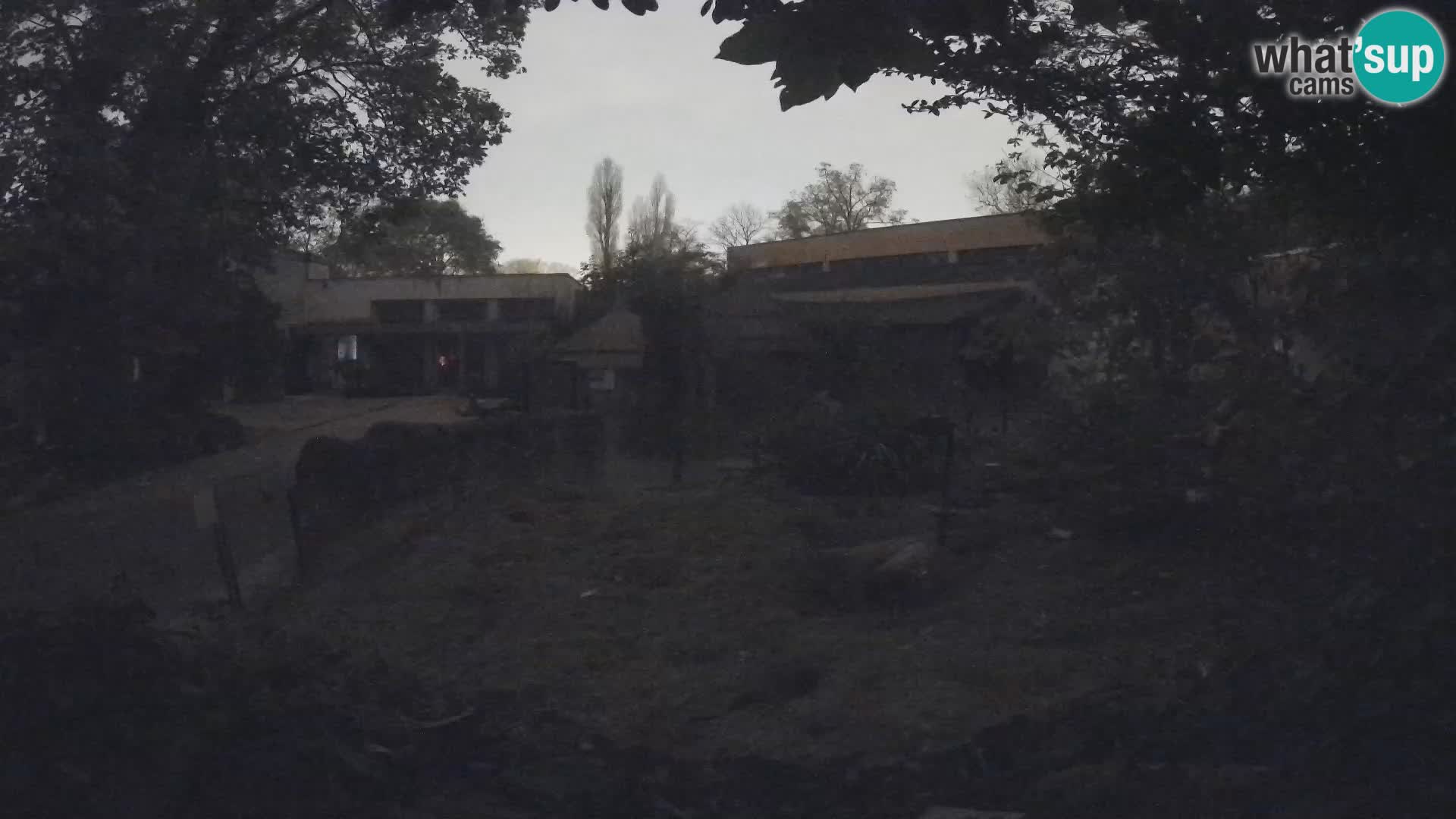 Zoo Zagreb – Erdmännchen