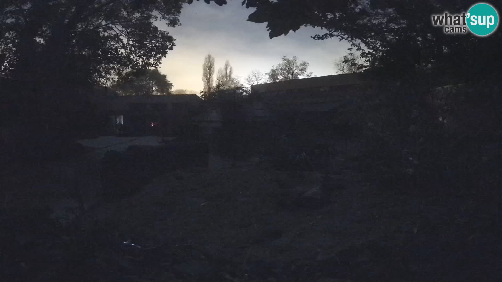 Zoo Zagreb – Merkat