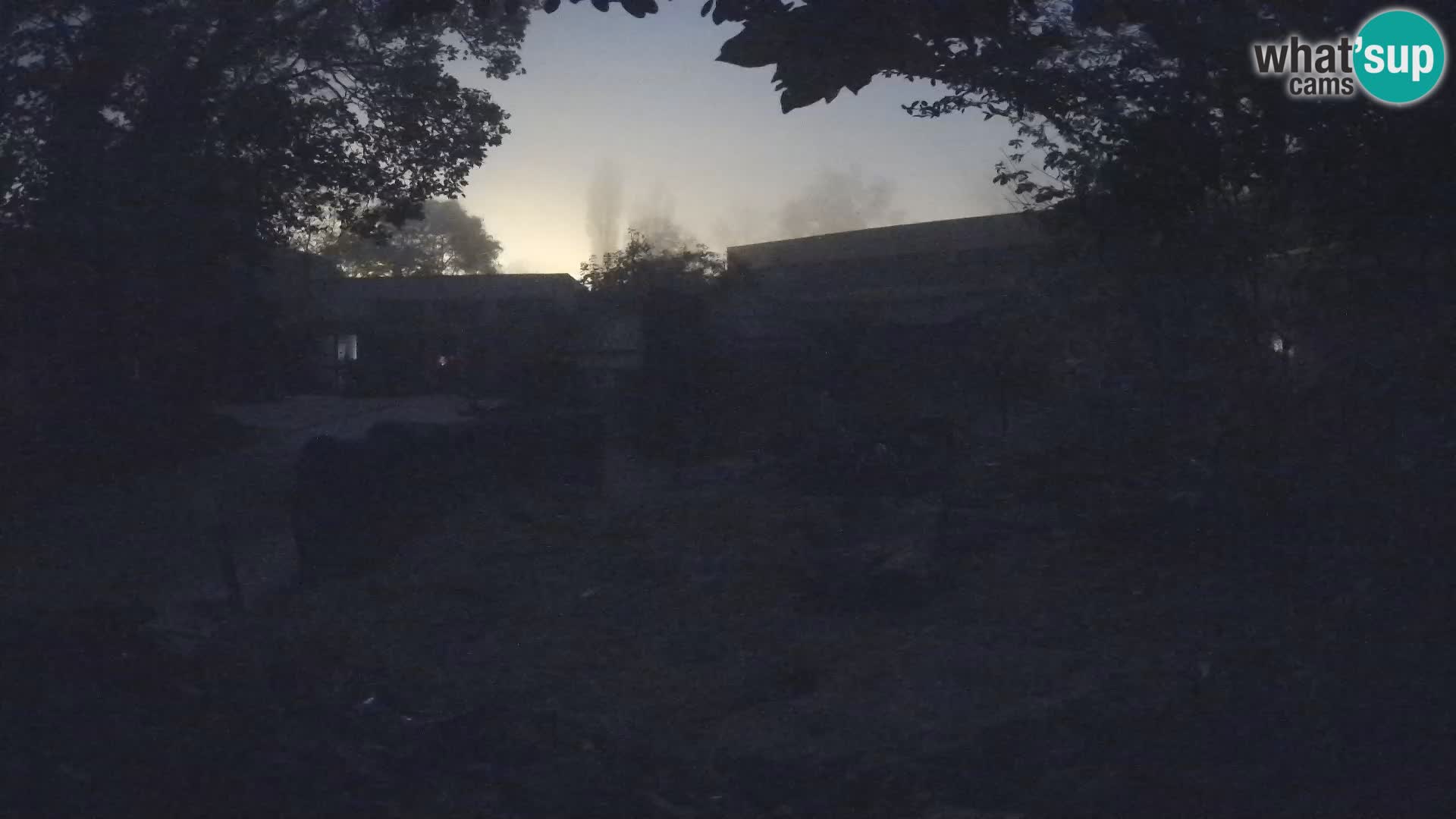 Zoo Zagreb – Erdmännchen