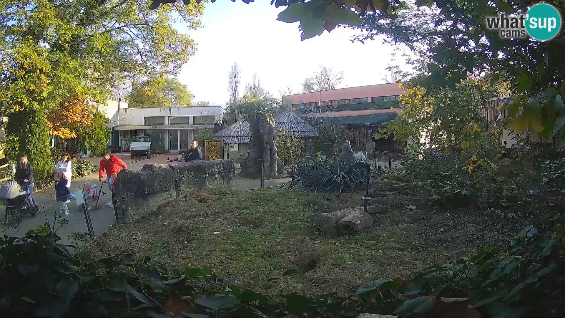 Zoo Zagreb – Surikate