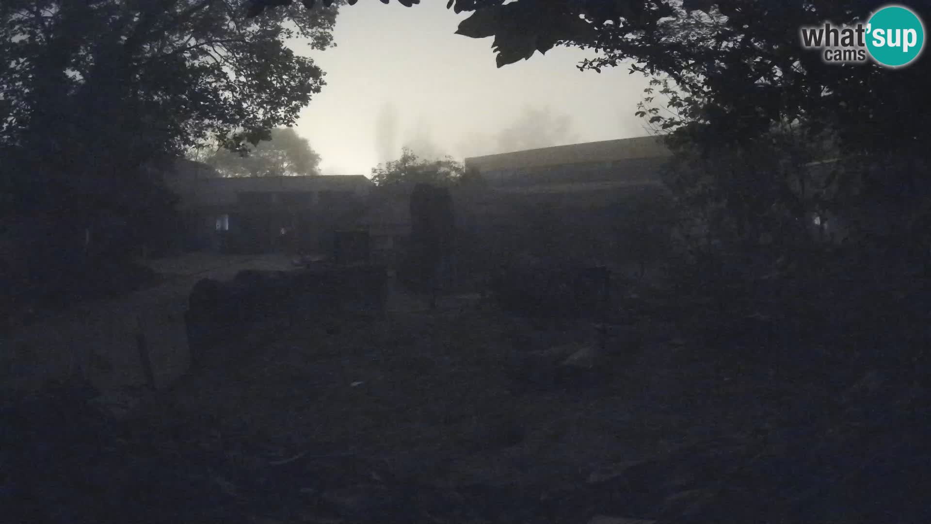 Zoo Zagreb – Erdmännchen