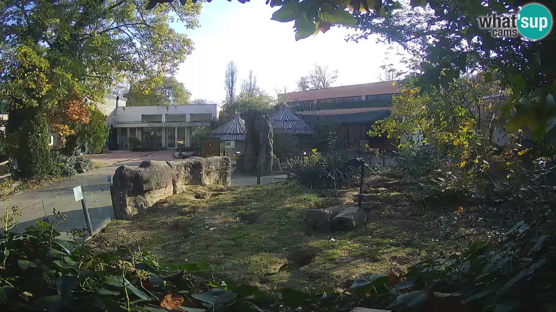 Zoo Zagreb – Surikate