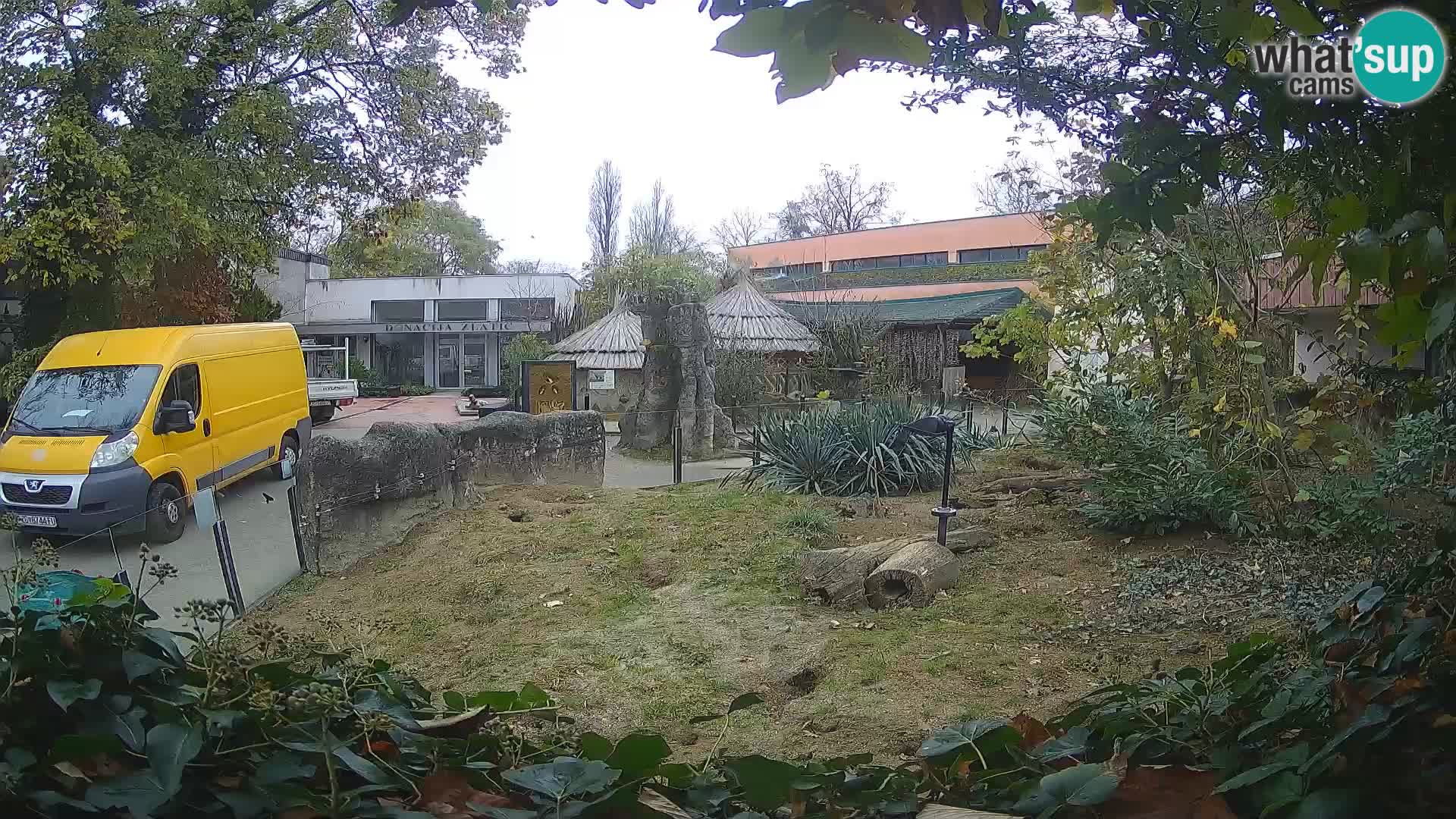 Zoo Zagreb – Merkat