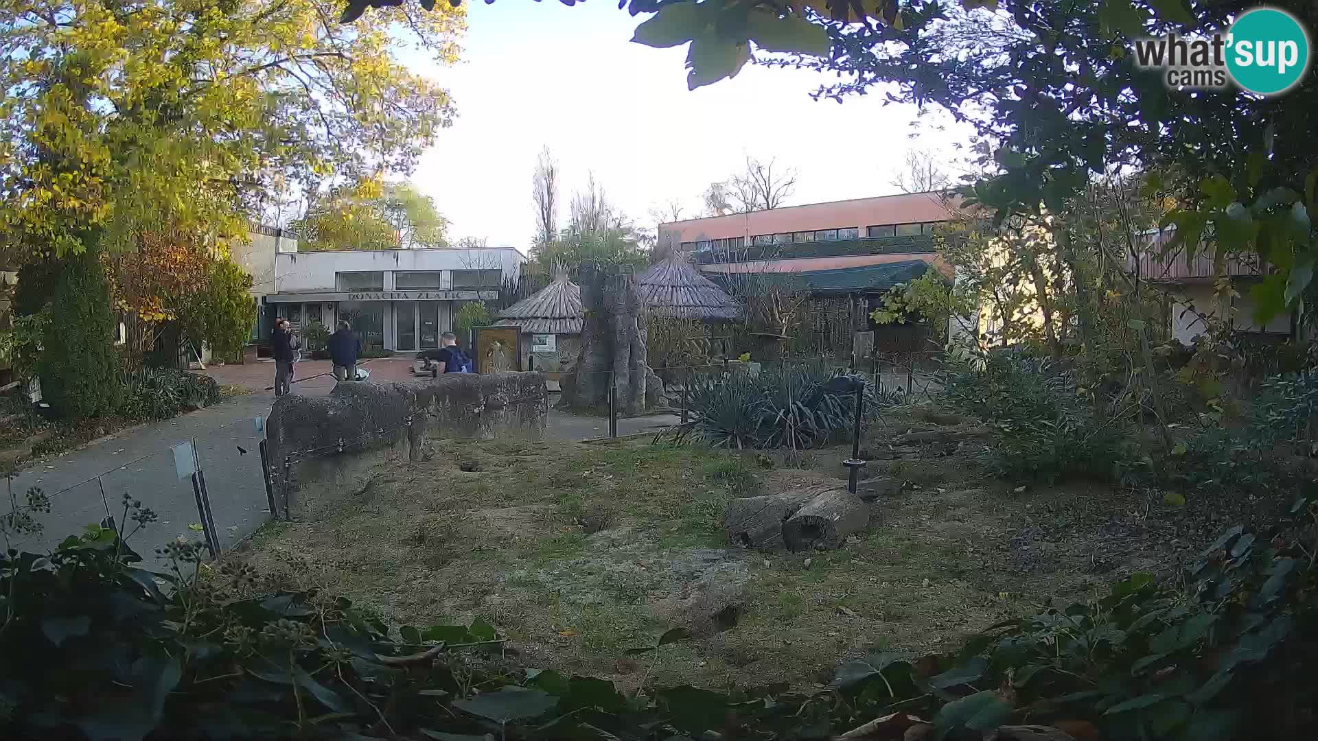 Zoo Zagreb – Merkat