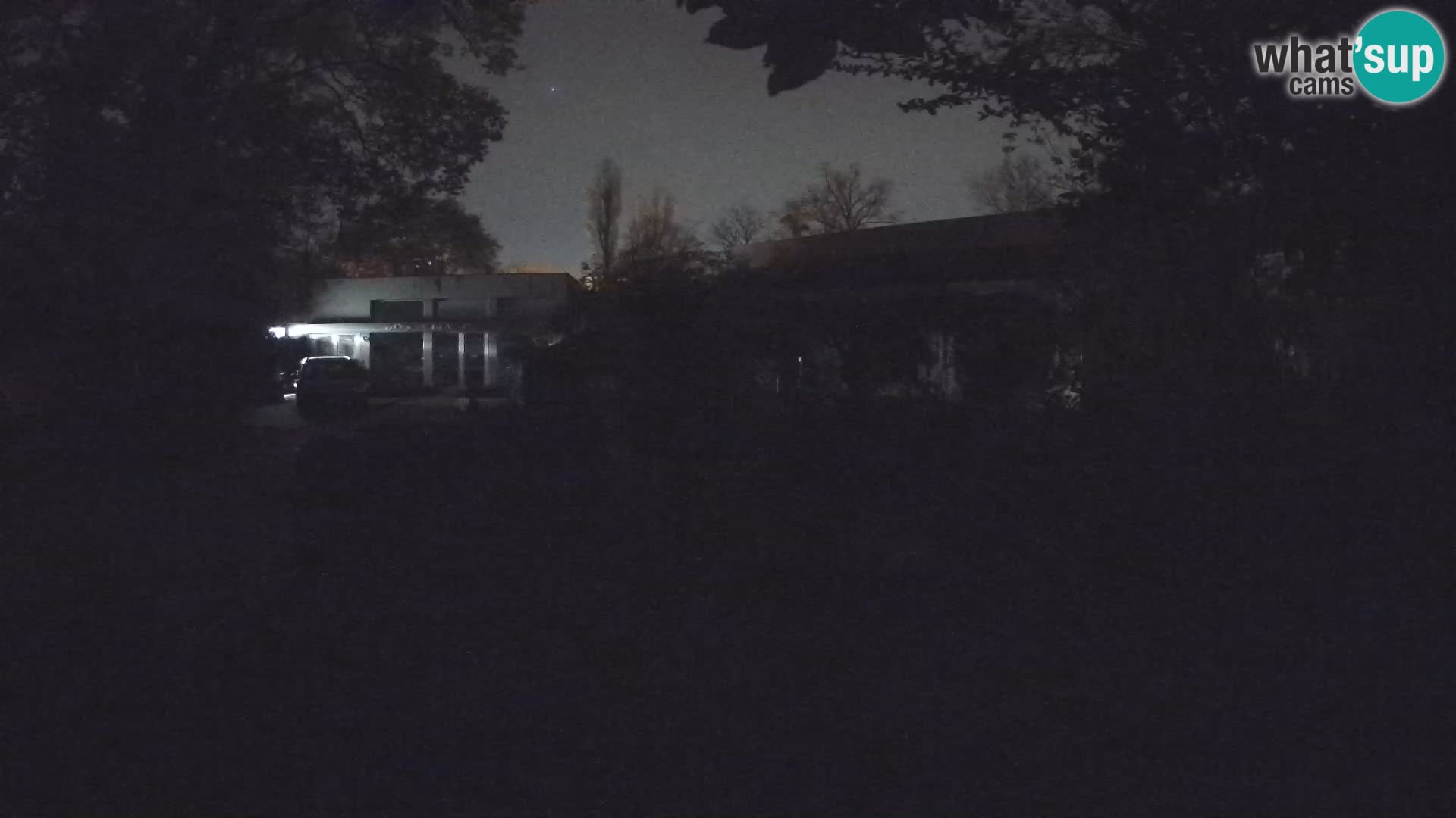 Zoo Zagreb – Merkat