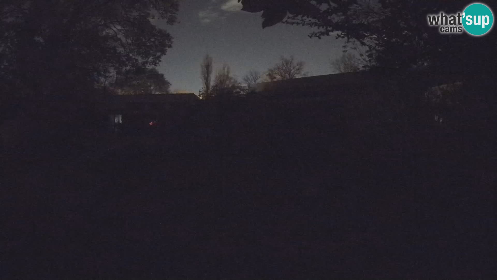 Zoo Zagreb – Merkat