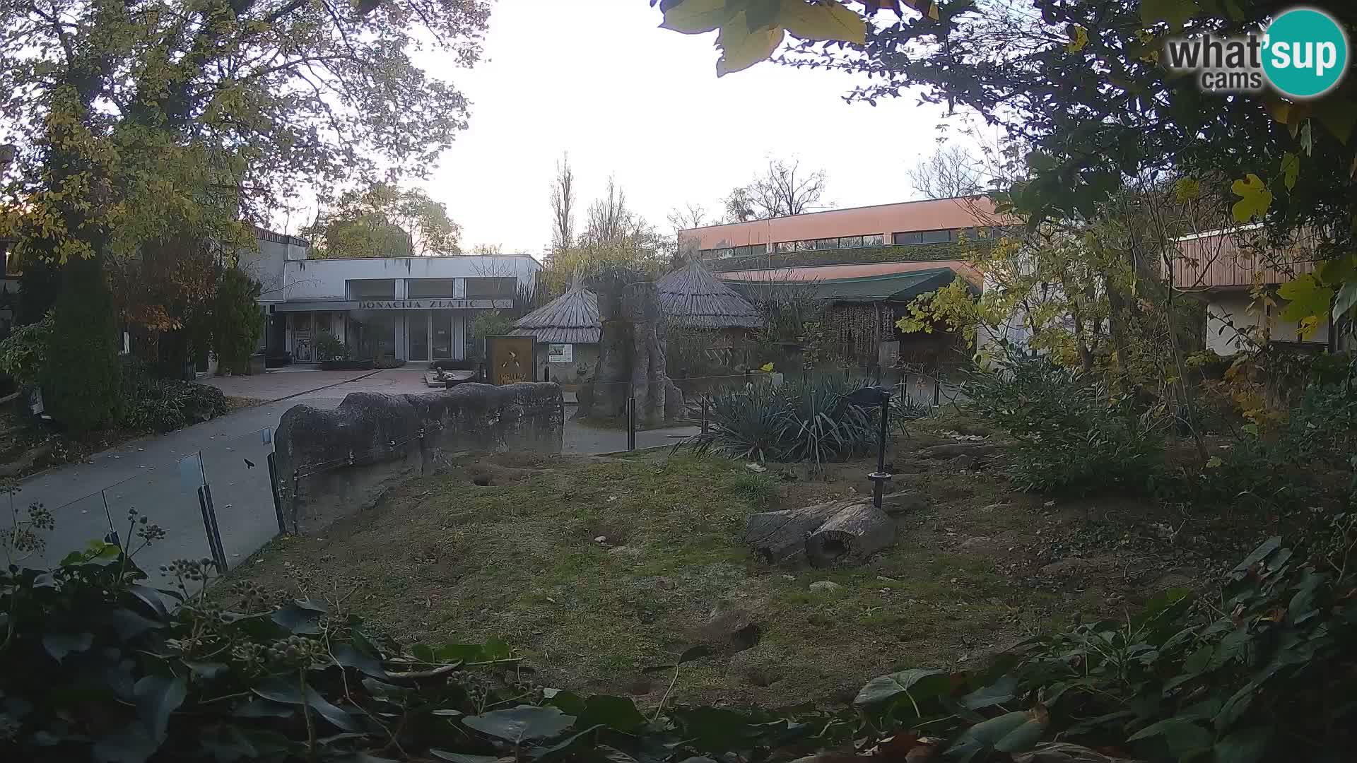 Zoo Zagreb – Erdmännchen