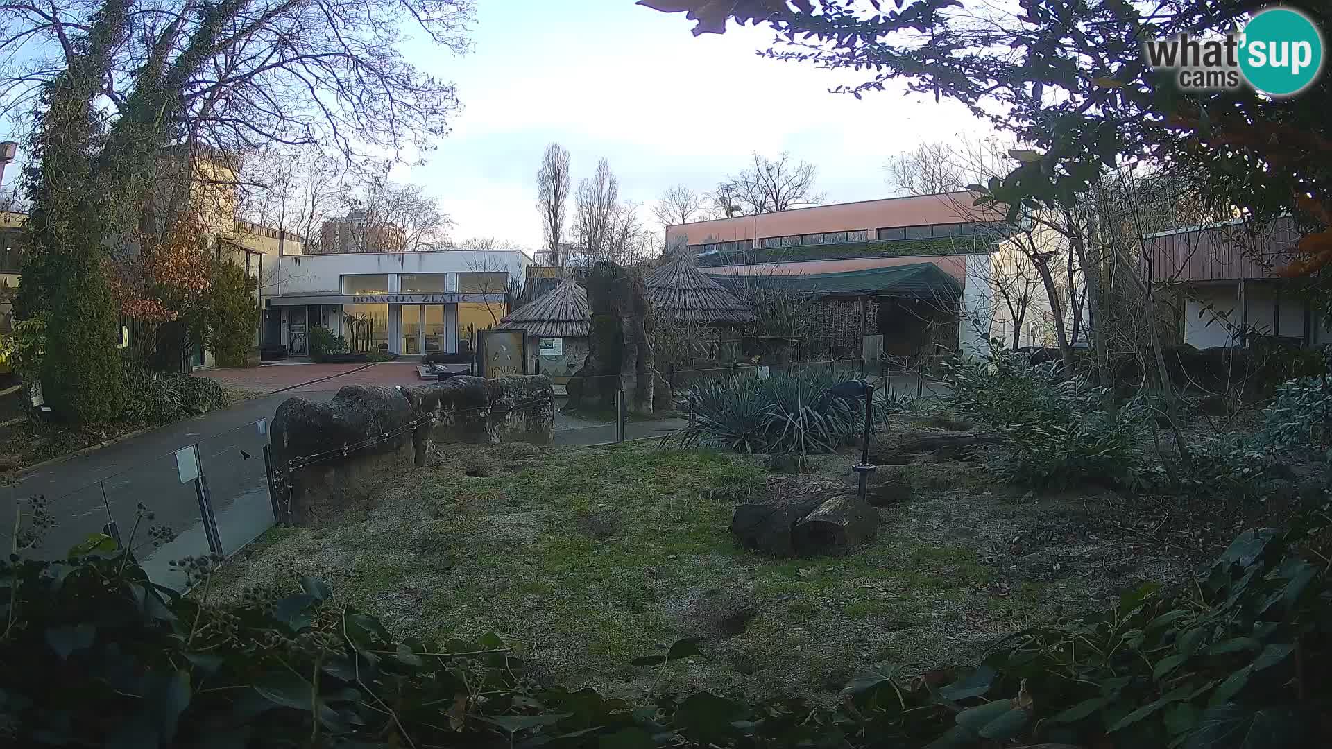 Zoo Zagreb – Merkat