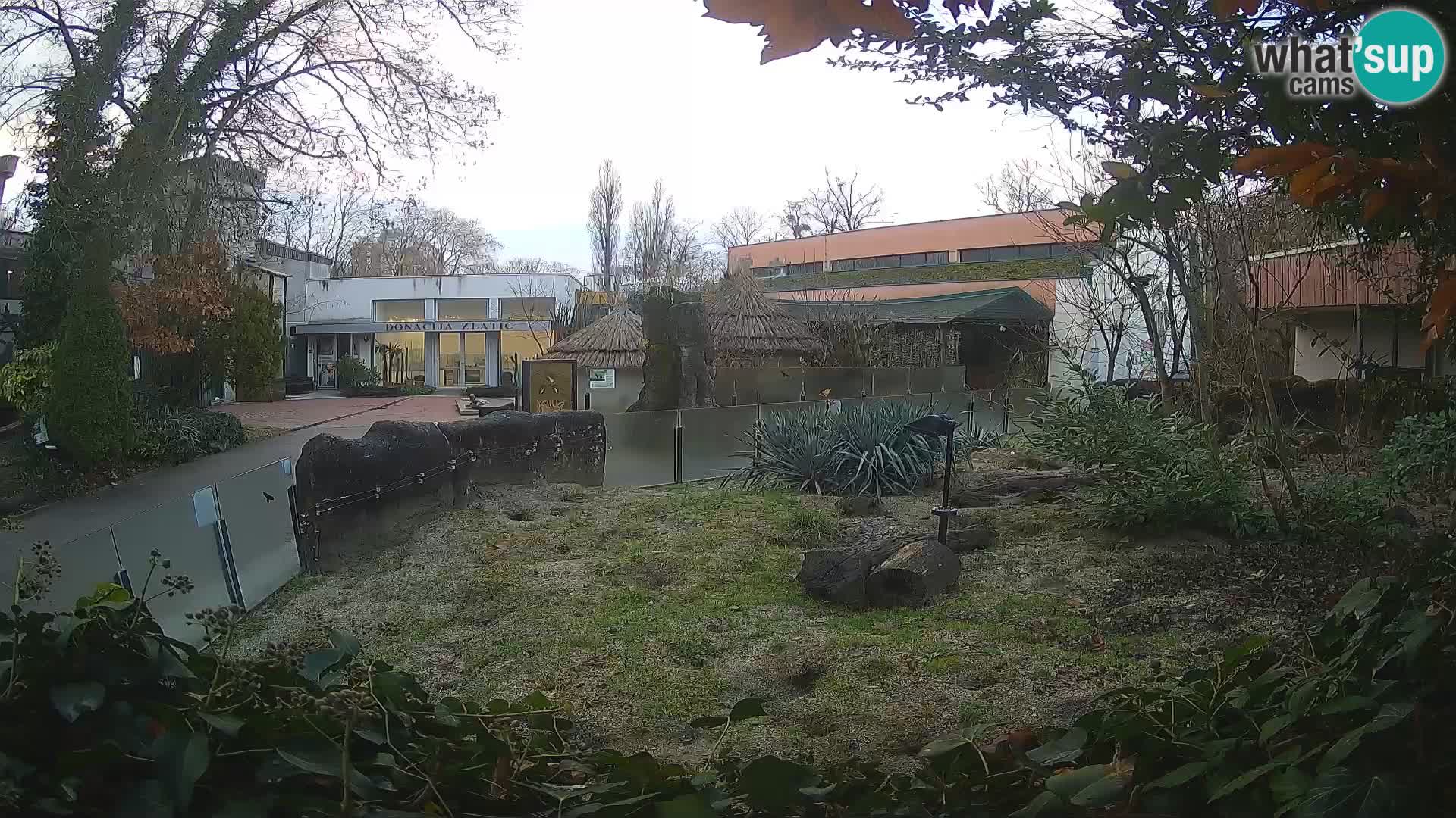 Zoo Zagreb – Merkat