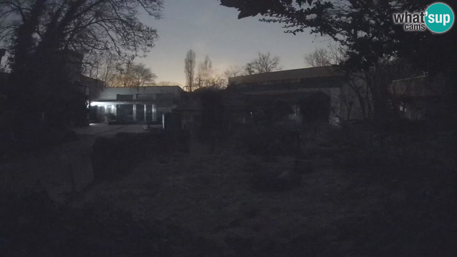 Zoo Zagreb – Merkat