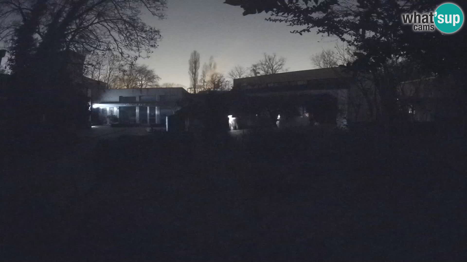 Zoo Zagreb – Suricata