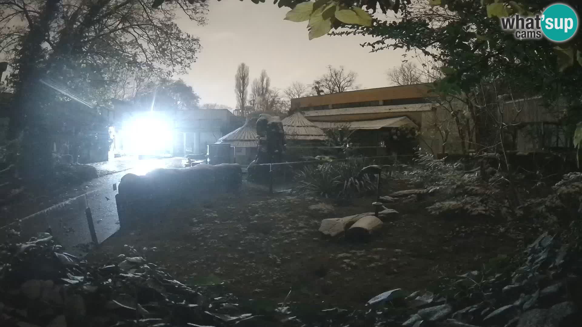 Zoo Zagreb – Erdmännchen