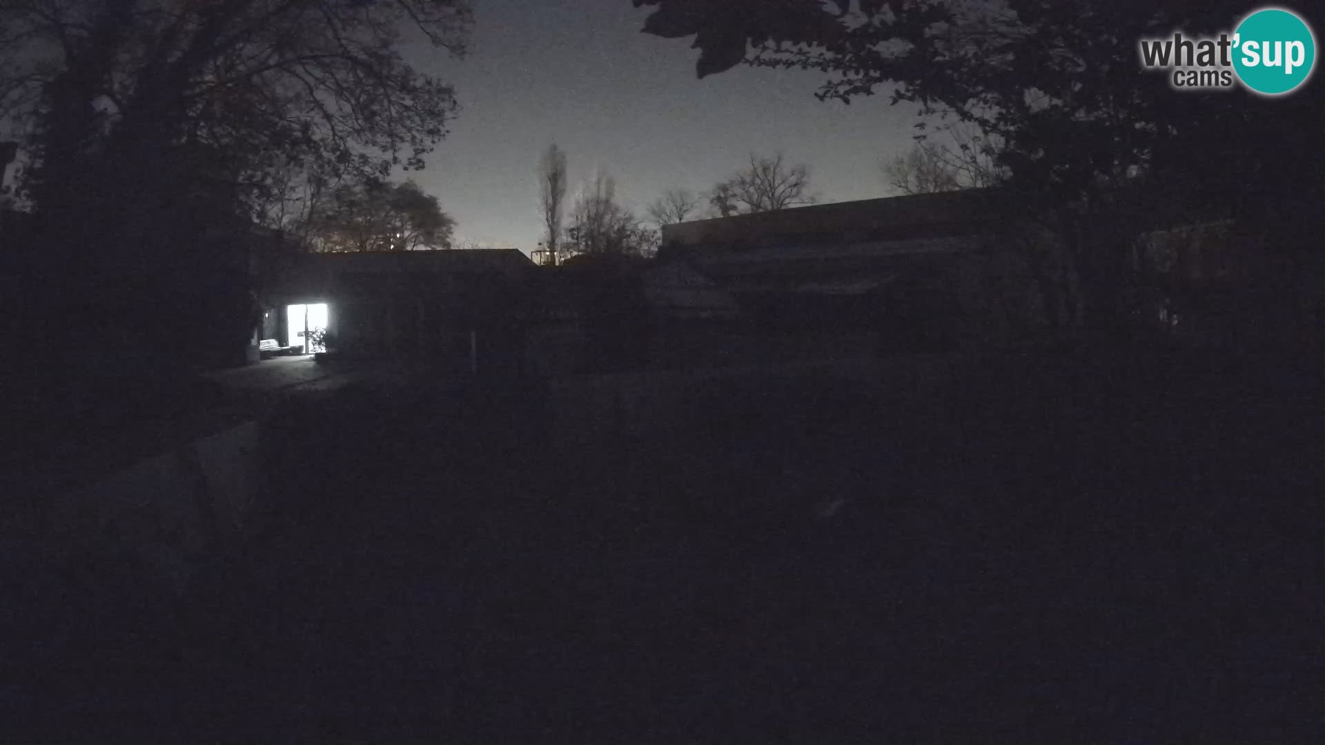 Zoo Zagreb – Erdmännchen