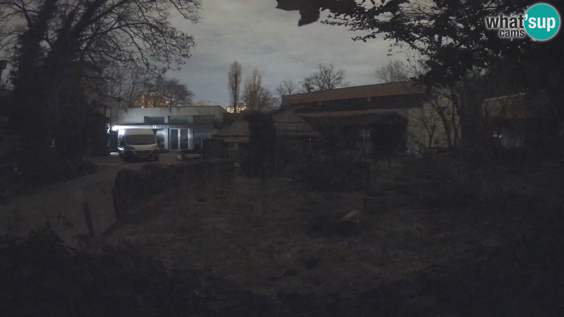 Zoo Zagreb – Merkat