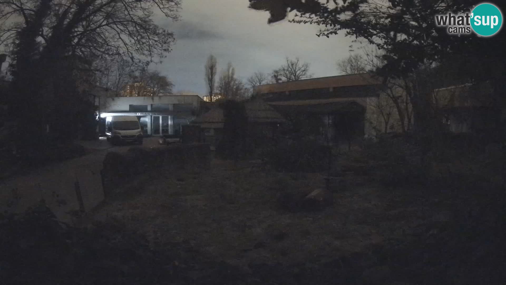 Zoo Zagreb – Merkat