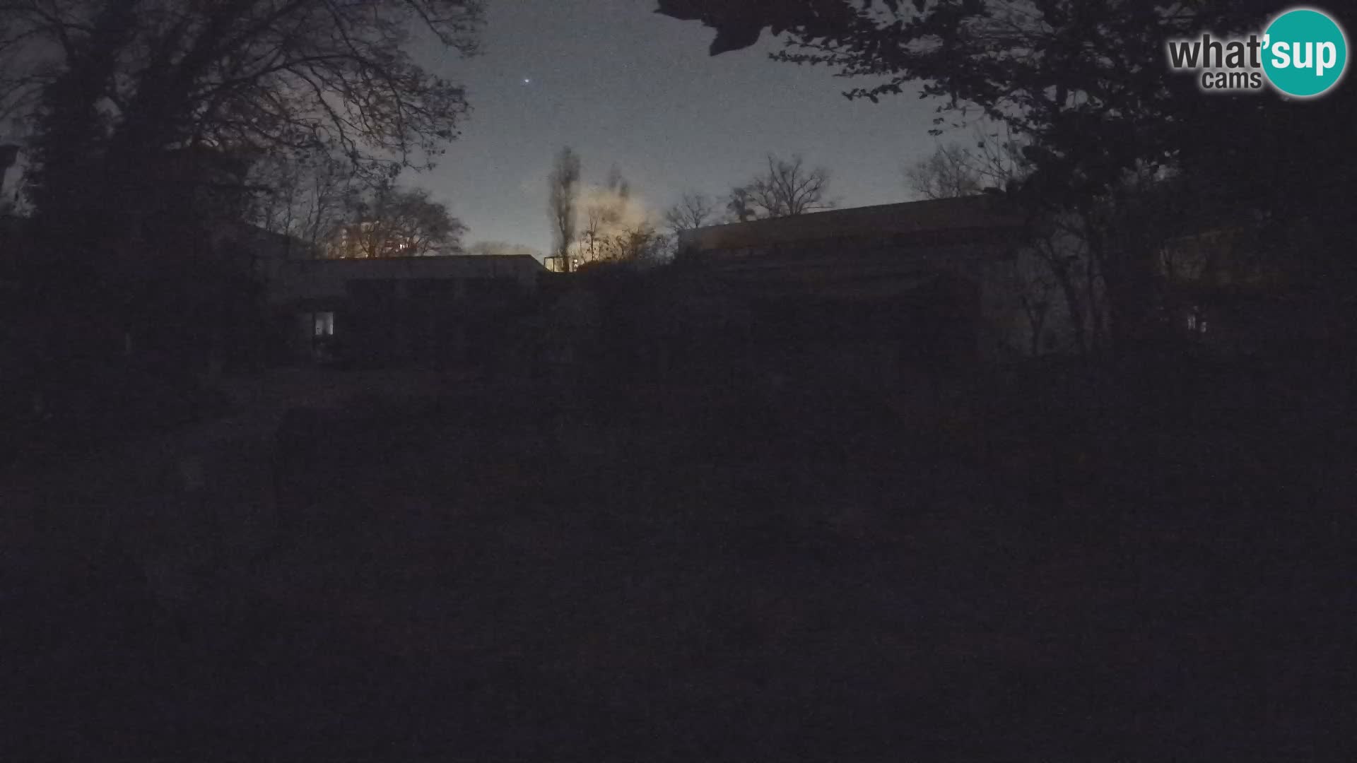 Zoo Zagreb – Merkat